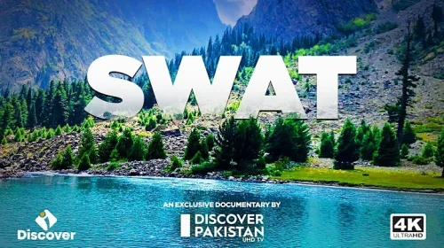 Swat
